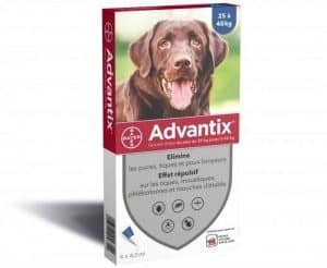advantix pour chien