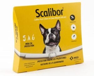 collier-scalibor-chien