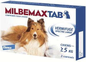 milbemax-chien
