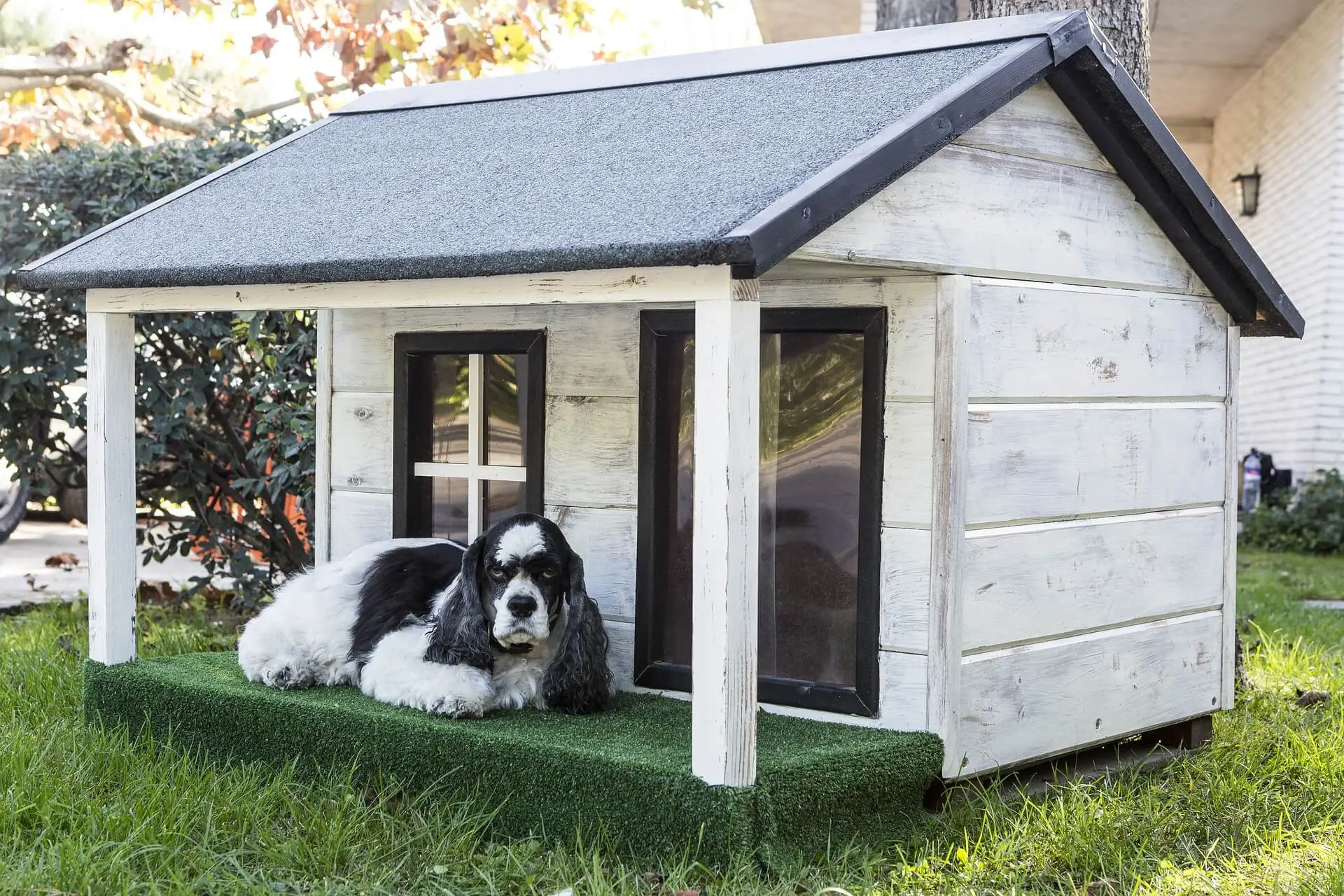 niche pour chien palette