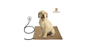 tapis chauffant pour chien