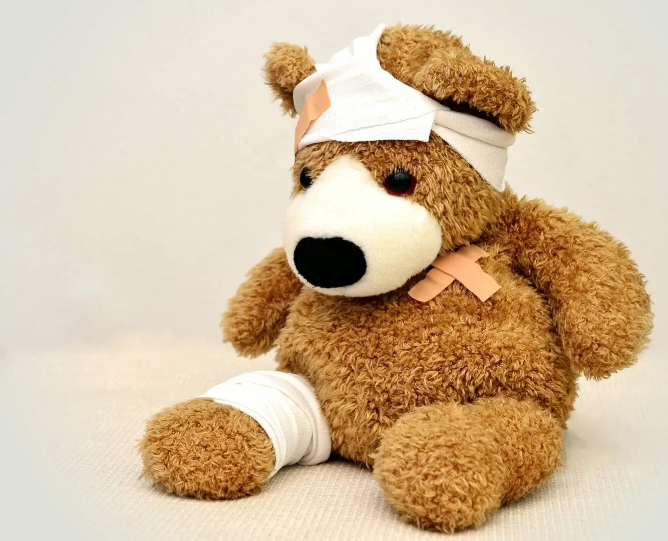 bandage chien