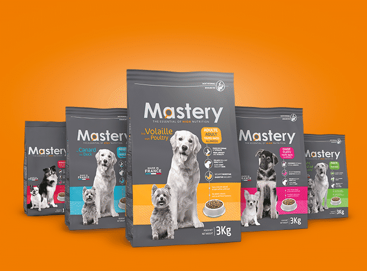Mastery croquettes pour chien