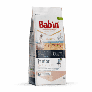 bab'in chien