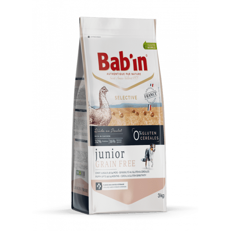 bab'in chien