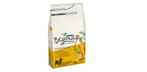 beyond croquettes pour chien