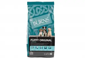 burns
