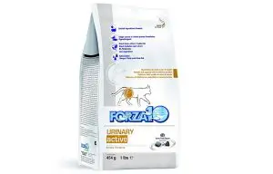 forza10