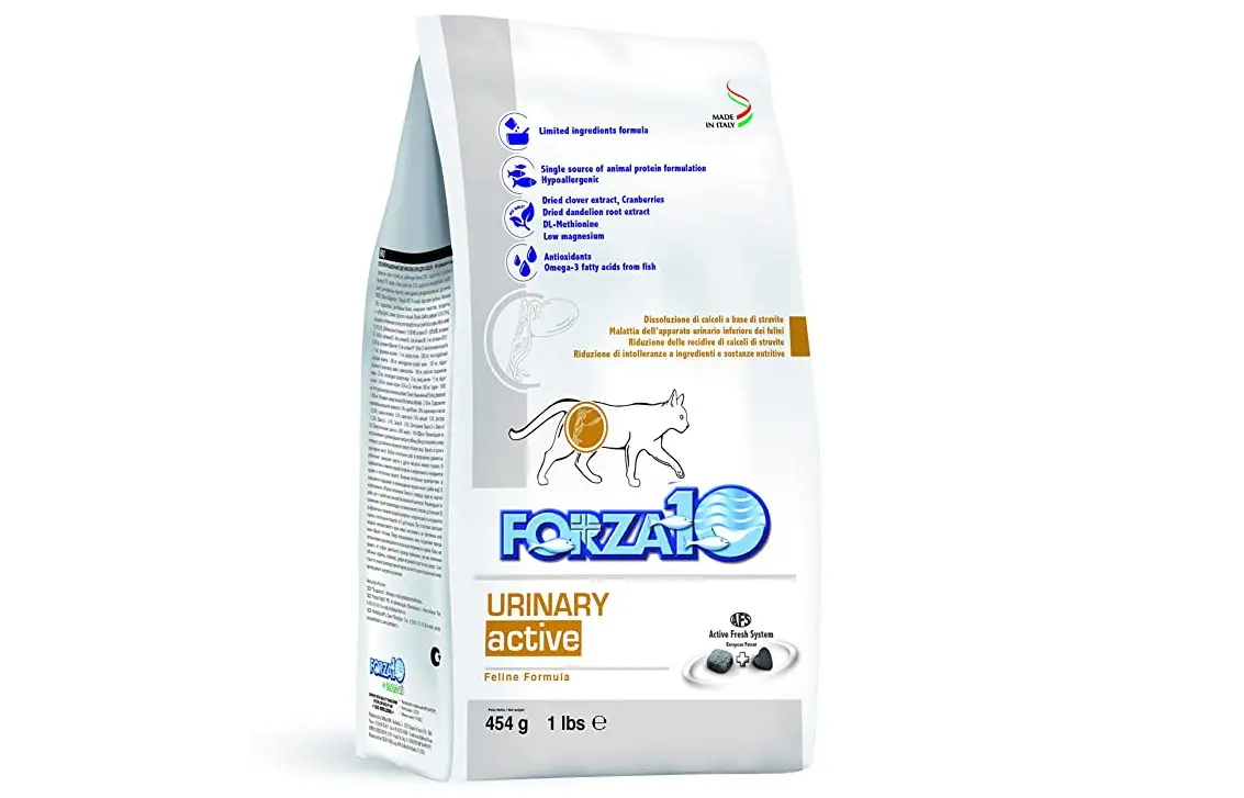 forza10