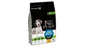 Pro Plan
