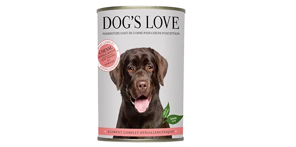 dog's love