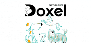 Doxel chien