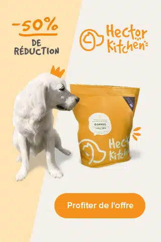 reduction hector kitchen